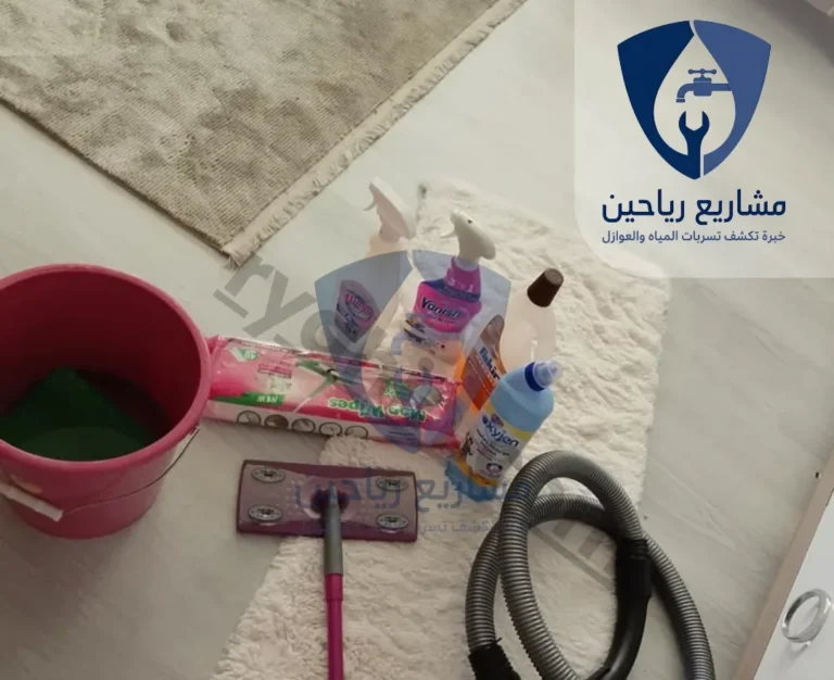 نظافة عامة